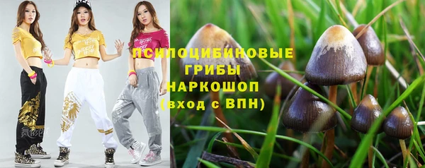 каннабис Алексин